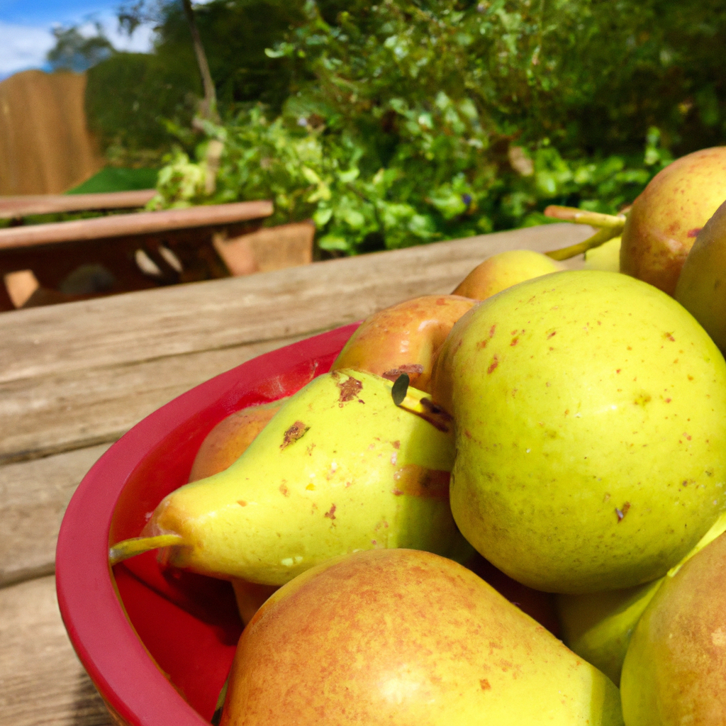 Rural Picnic Adventures: Enjoying Nature's Bounty